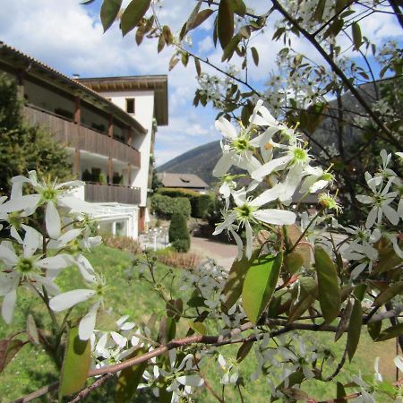 Natur Pur Hotel Unterpichl Ultimo Exterior photo
